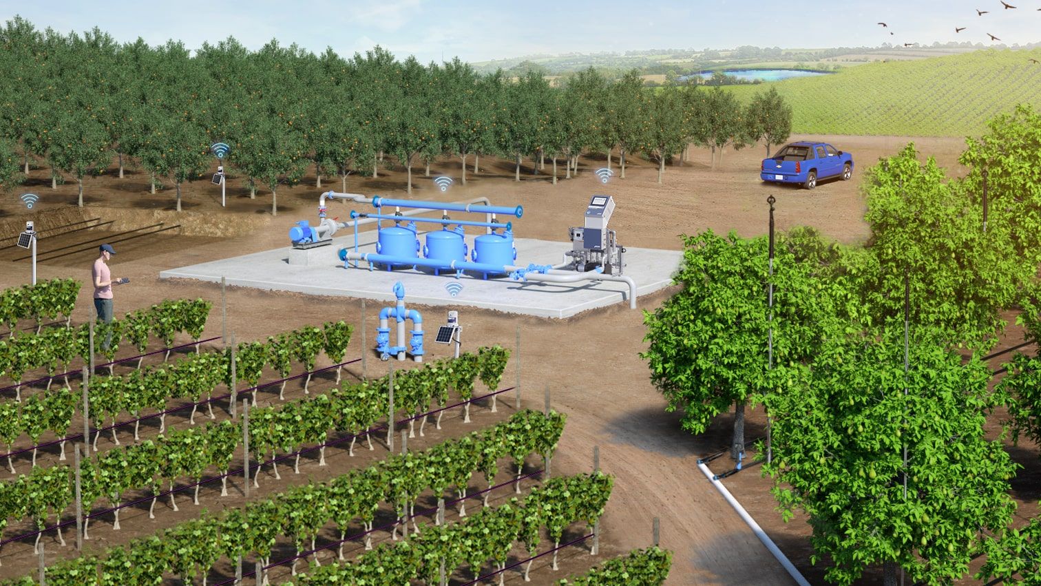 Precision irrigation products for orchards