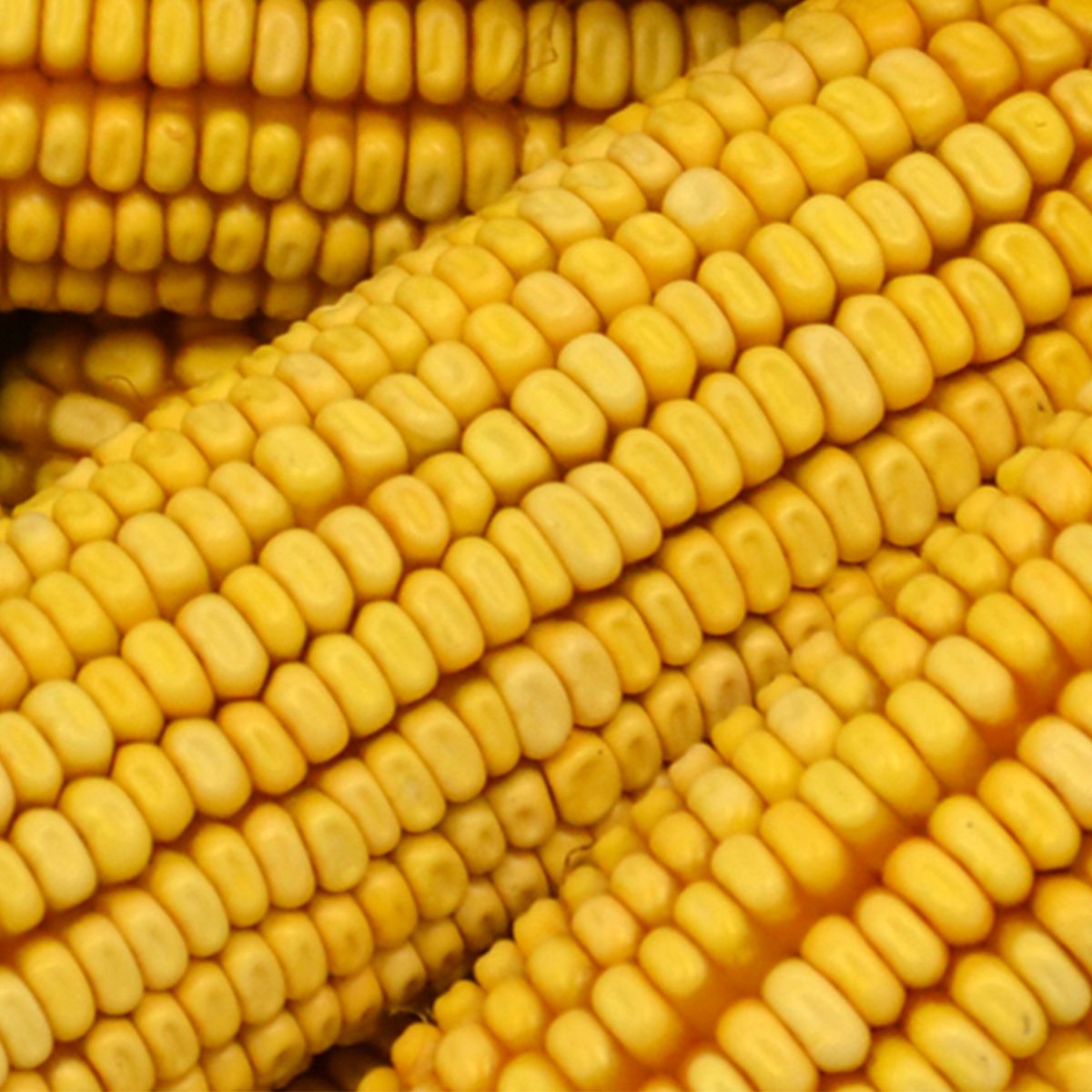 Corn