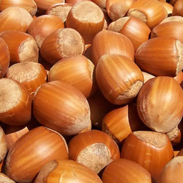 Hazelnuts