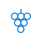 Drip Irrigation and Fertigation Protocol for Table Grapes