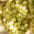 Table Grapes