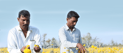 INDIA: CHANGING RURAL COMMUNITY LANDSCAPES