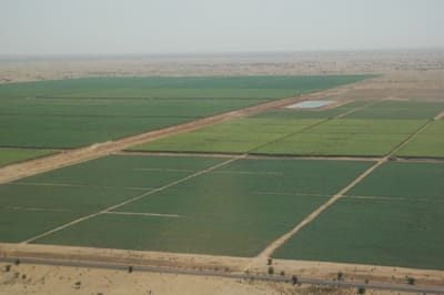 Large Irrigation Projects