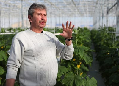 Kazakhstan, Cucumbers and tomatoes