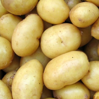 Potatoes