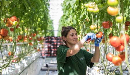 Farming in a Controlled Environment