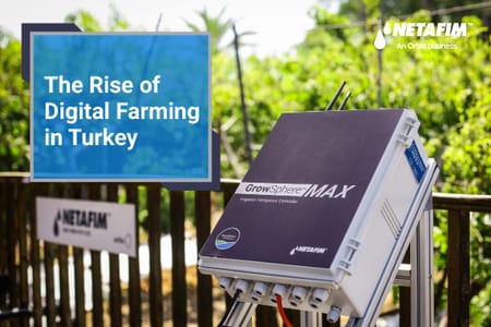 Harvesting Progress: How Technology is Reviving Farming in Turkey