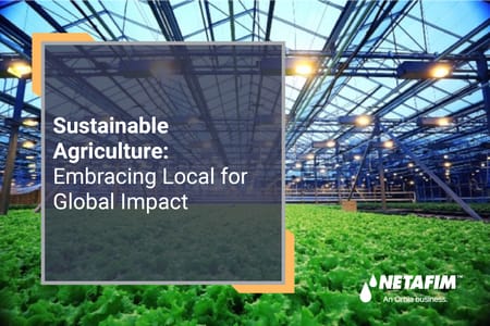 Sustainable Agriculture: Embracing Local for Global Impact