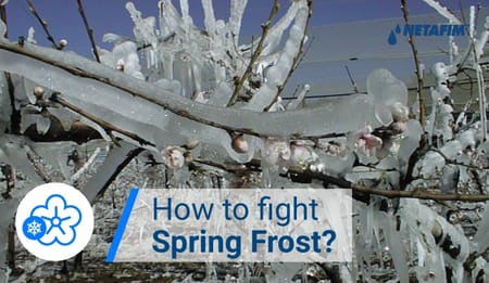 The Battle Against Spring Frost Warms Up