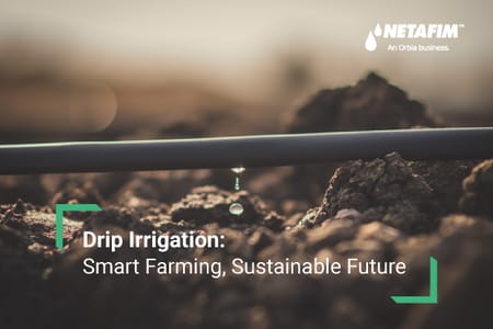 What is Drip Irrigation?