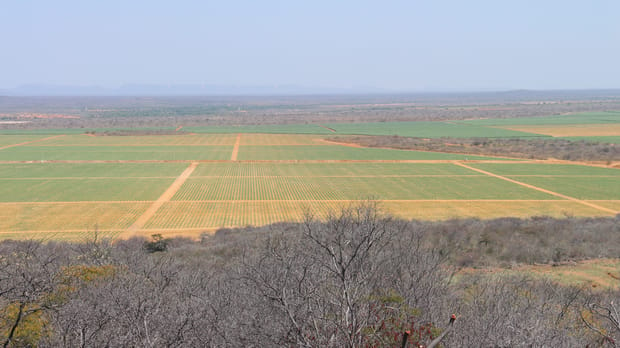 Leveraging Automation to Achieve Sustainable Sugarcane Production in Brazil