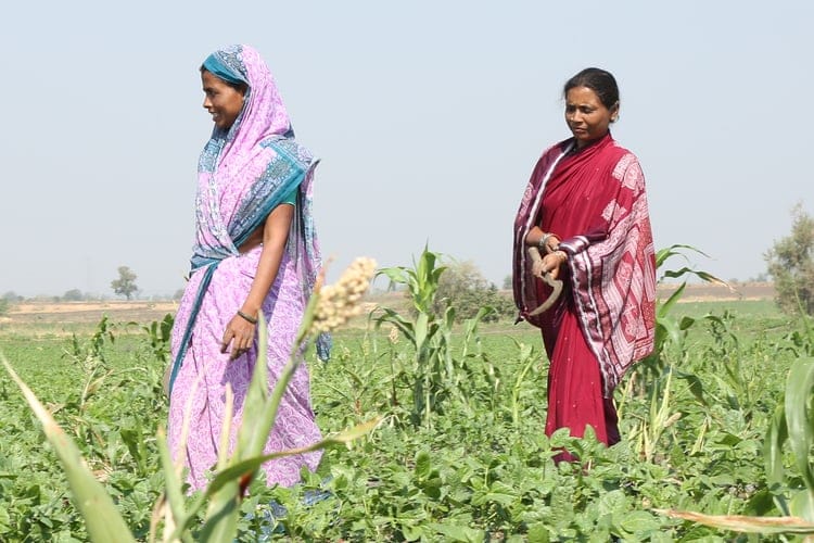 Community Irrigation