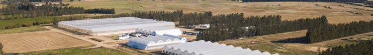 Banner Building a Commercial Greenhouse