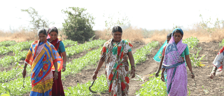 Empowering women in developing countries with Agritech