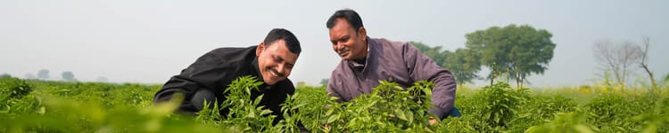 Banner How Better Life Farming is Uplifting Smallholders