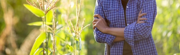 women in agriculture