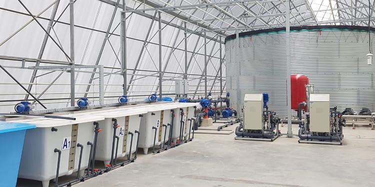 Greenhouse Water Systems
