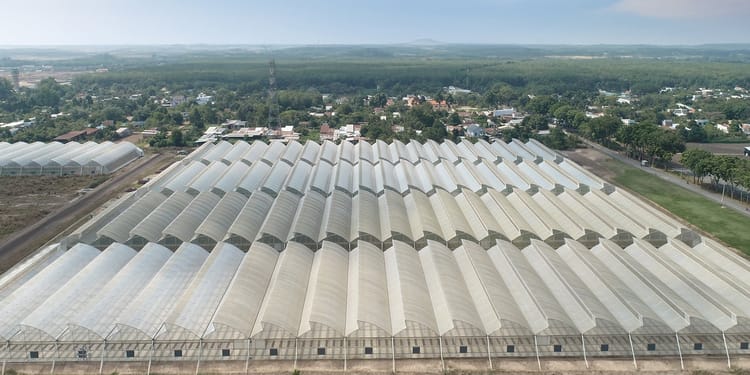 Commercial greenhouse