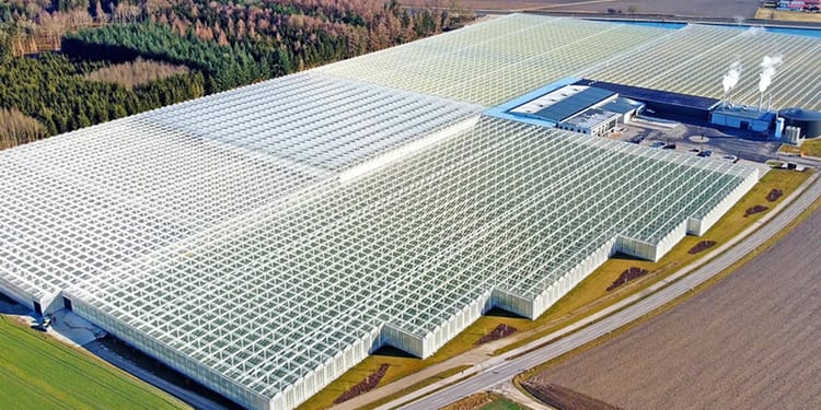 Greenhouse Structures