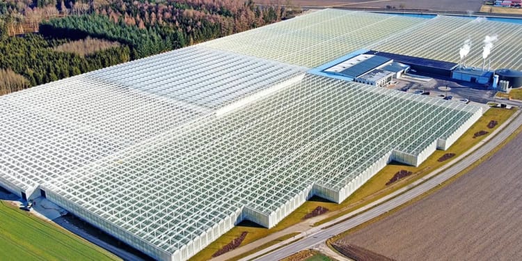 Commercial greenhouse