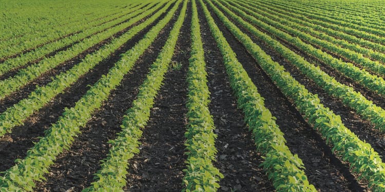 Precision irrigation solutions for field crops & vegetables