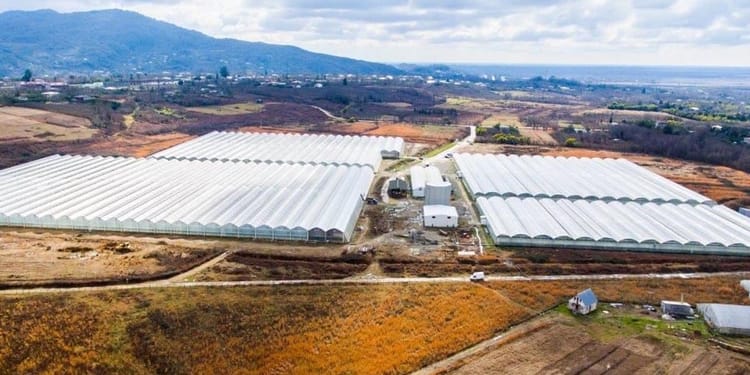 Greenhouse Project Management