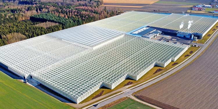Greenhouse of the Reichenspurner Family