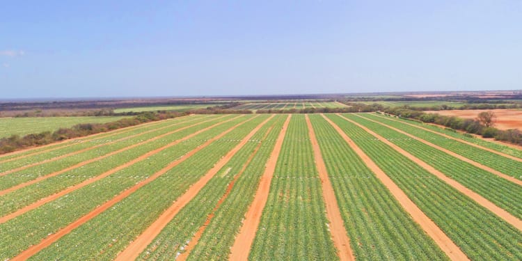 Ensuring a food secure future with precision irrigation systems