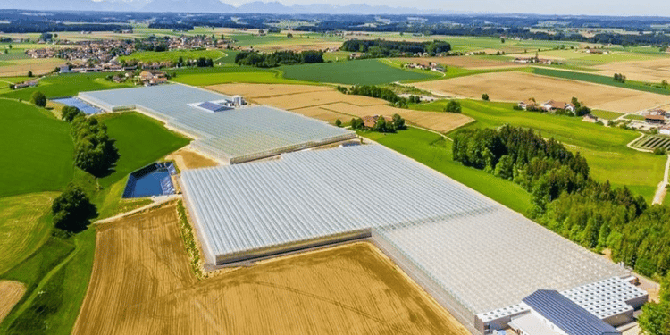 Venlo Glasshouse: Steiner - Greenhouse project