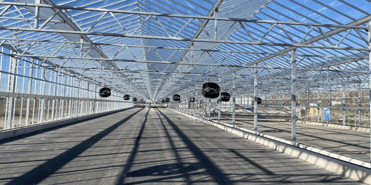 Wastewater Treatment in a Commercial Greenhouse