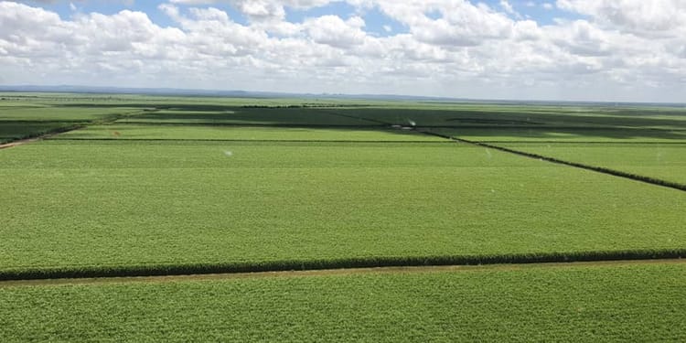 Partnering for Sustainability: Water-wise Sugarcane Farming for Ethanol Production