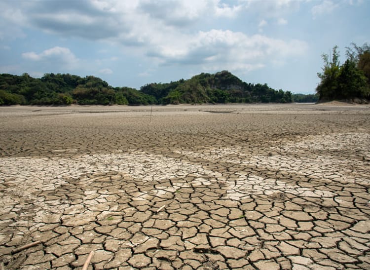 dry soil