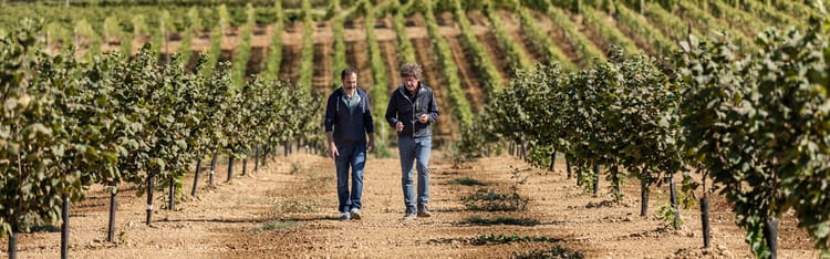 Digital farming tools