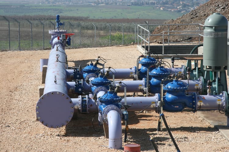 Check Valves