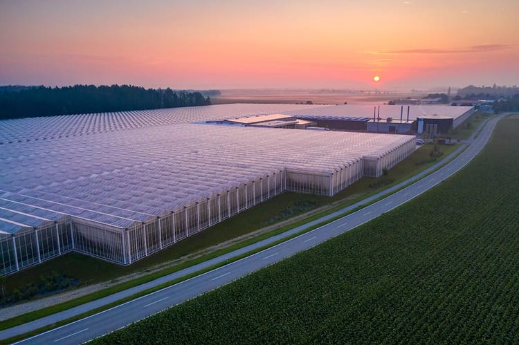 Reichenspurner family greenhouse