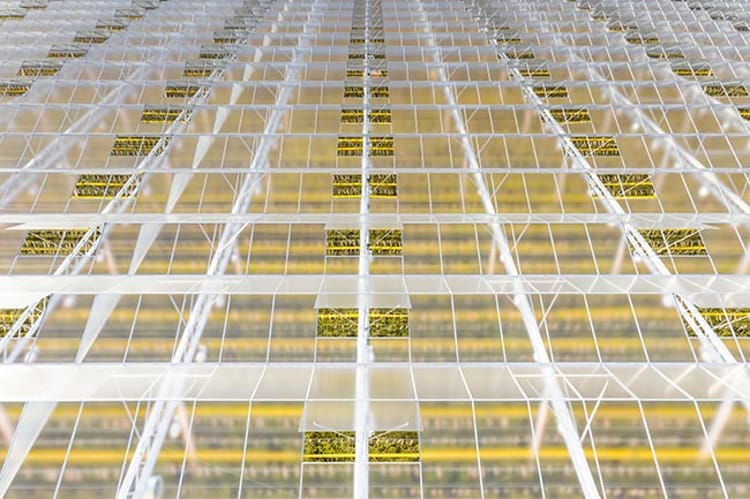 Areal view of greenhouse