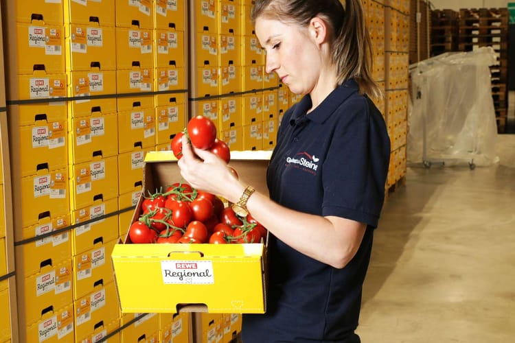 Steiner employee with carton of tomatoes
