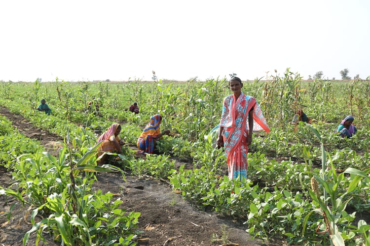 india-ramthal-farmers-at-work