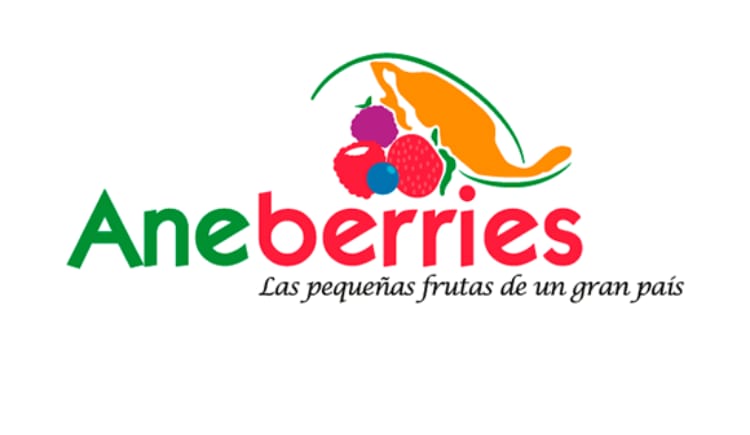 Aneberries