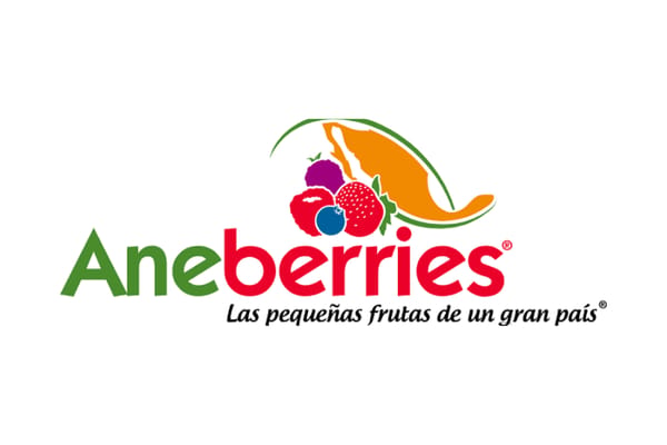 Aneberries