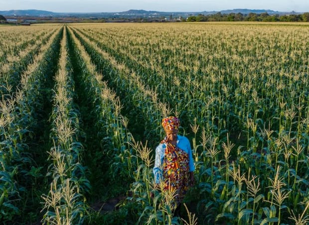 Collaboration As The Missing Infrastructure In Water Security