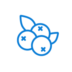 Drip irrigation and fertigation guidelines for Blueberries