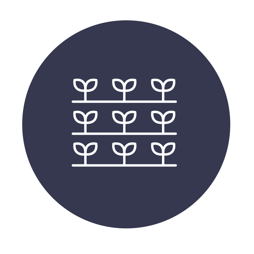 Enhance yield quantity and quality